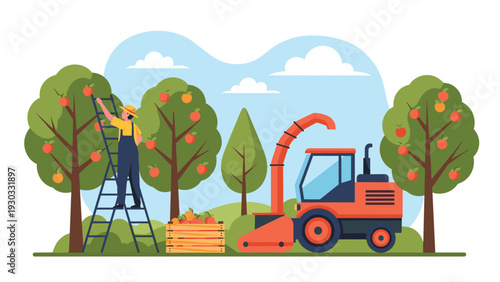 Agricultural worker picking fresh red apples from a tree on a ladder while a modern harvesting machine works in the commercial orchard.
