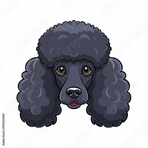 Cute black poodle with curly fur looking directly at the viewer in a simple style