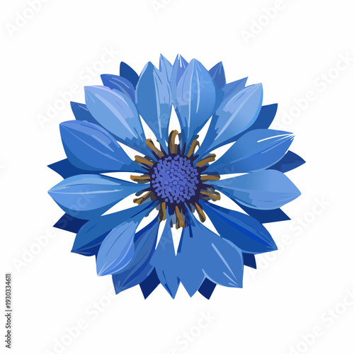 Blue flower with large petals and a round center is displayed on a plain background during daytime