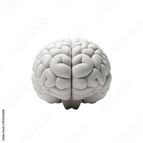 Anatomical illustration of a human brain rendered in white against a stark black background