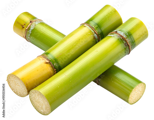 Brightly lit, segmented green and yellow stalks of sugarcane crossed diagonally