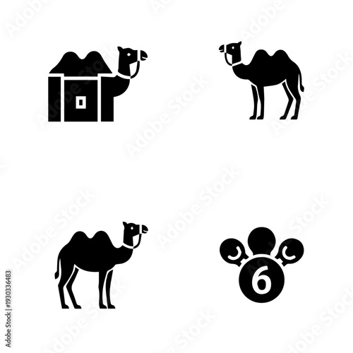 Illustrations of a camel and related desert-themed icons