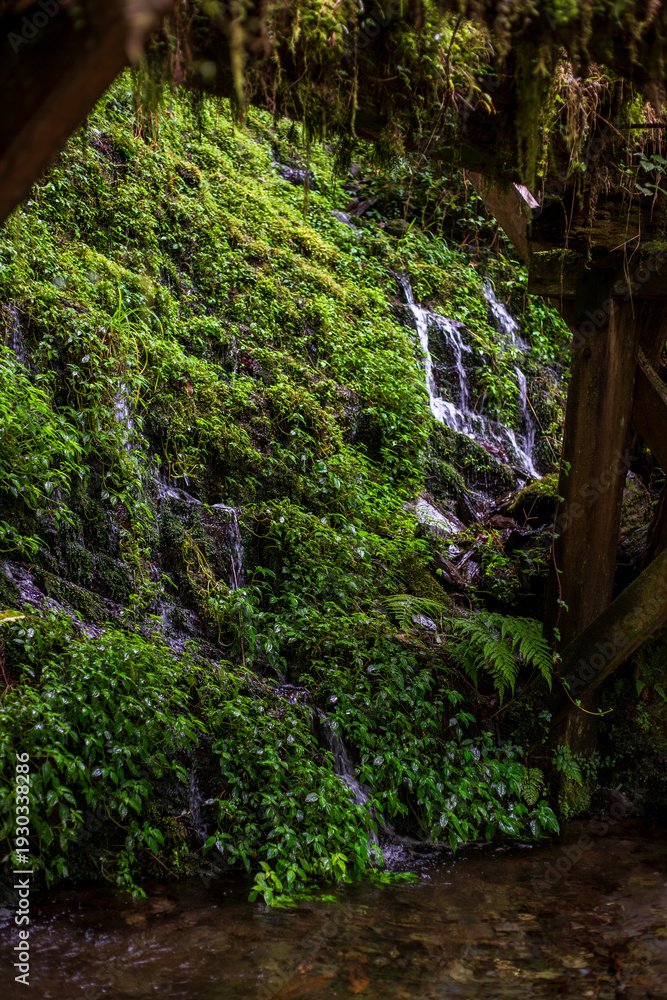 Obraz premium A quiet stream flowing between the emerald green rock walls