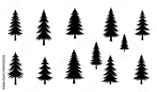 Conifer pine and spruce tree silhouettes vector collection for nature outdoor and forestry themes isolated on white