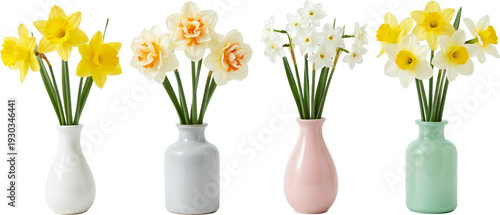 five vases with daffodils, from left to right: white vase with yellow daffodils.
