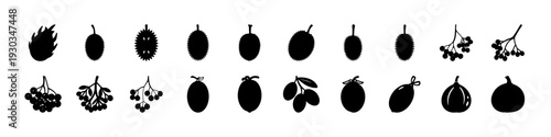 Black Fruit and Berry Silhouette Icon Set -
Collection of black fruit and berry silhouettes isolated on white background, ideal for organic food branding, healthy eating concepts, and grocery design.