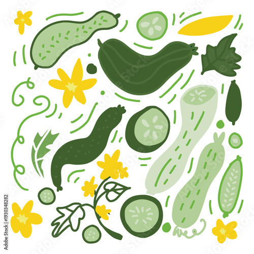 Flat vegetable illustration featuring cucumbers, leaves, and flowers in a lively hand drawn style. Vector artwork suitable for organic food branding and kitchen decor.