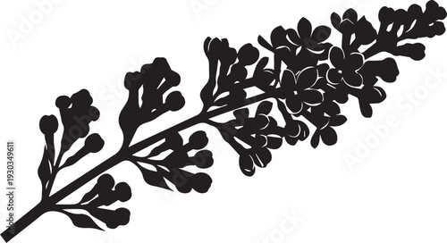 Lilac branch silhouette vector illustration blooming spring flower branch floral line art