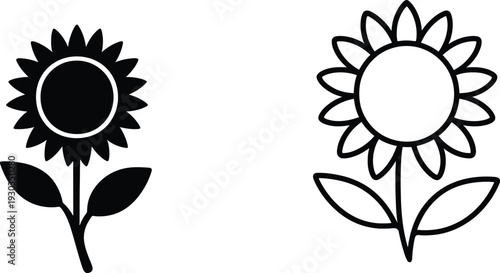 Sunflower vector set outline and  Silhouette icon.