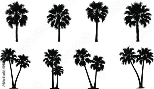 Silhouette palm trees collection, tropical nature, summer vacation, exotic island plants, outdoor greenery, black tree shapes, botanical scenery, tropical landscape, vacation atmosphere
