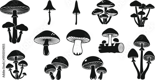 Minimalist black mushroom silhouette vector set featuring various forest fungi species and organic toadstool illustrations on a white background for nature inspired graphic design projects.