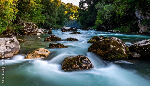 Serene river flowing through lush forest with mossy rocks