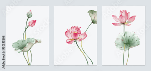 Fotografija Flower wall art set, minimalist stylized watercolor-style lotuses on a soft crea