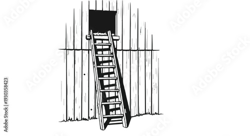 Rustic wooden ladder leans against a weathered barn wall leading to an open doorway.