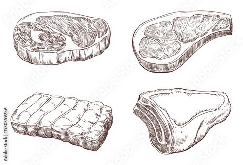 Hand-Drawn of Four Different Cuts of Raw Beef Steaks