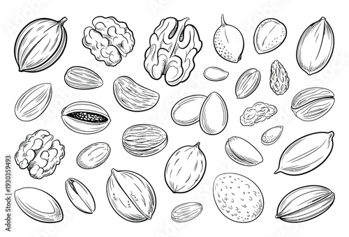 Hand-Drawn Assortment of Nuts and Seeds in Black and White