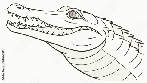 Fierce dinosaur head with sharp teeth and menacing gaze