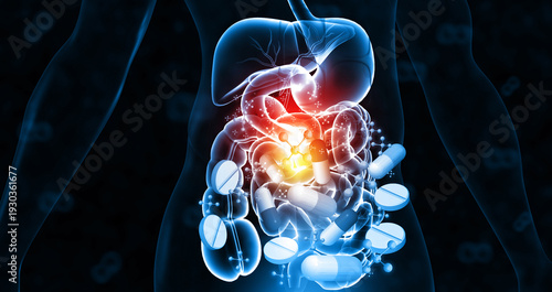 3D medical illustration of the human digestive system featuring a translucent torso and internal organs surrounded by pharmaceutical capsules and tablets on a clinical blue background