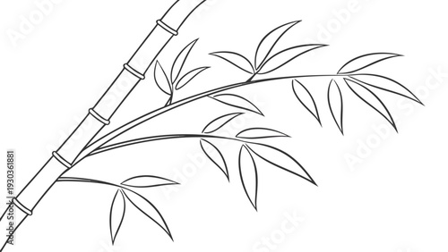 Bamboo branch with leaves simple line art illustration