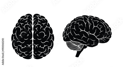 Two stylized black silhouettes of human brains displayed on a white background