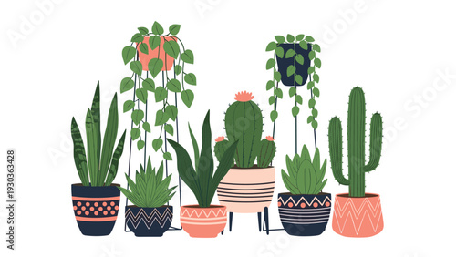 Beautiful collection of various indoor houseplants in decorative ceramic pots including cacti, succulents, and vines.