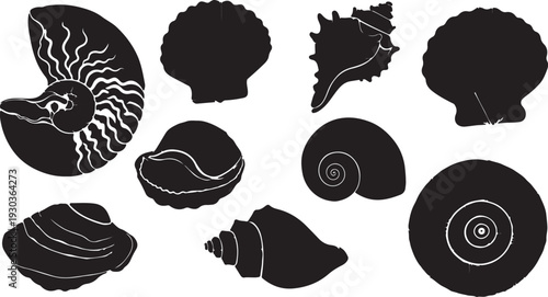 Big collection of underwater elements. Set of blue silhouettes  seashells, seaweeds. Summer marine background with hand drawn shell, algae, starfish, coral