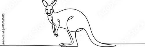 Continuous single line sketch drawing of kangaroo Australia endemic animal mammals, Minimalist.one line vector illustration with out Background