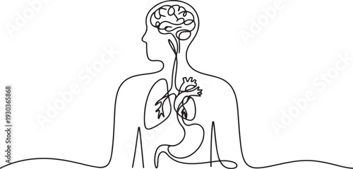 A disorder in which nervous system control over the functions of internal organs is impaired. Hand drawn problem in the work between the brain and internal organs.one line vector illustration