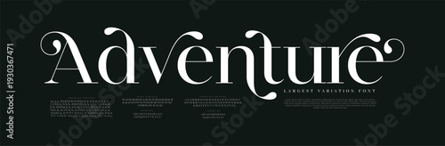 Premium luxury vintage alphabet letters font. Classic Lettering Minimal Fashion Designs. Typography sans serif simple wedding logo fonts and number. vector illustration