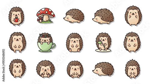 Collection of Cartoon Hedgehog Faces and Bodies.