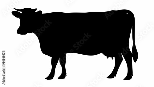 Black cow silhouette standing