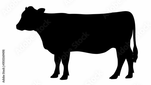 Majestic cow silhouette standing proudly in profile