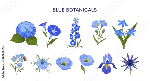Illustration of ten different blue botanical flowers on a white background