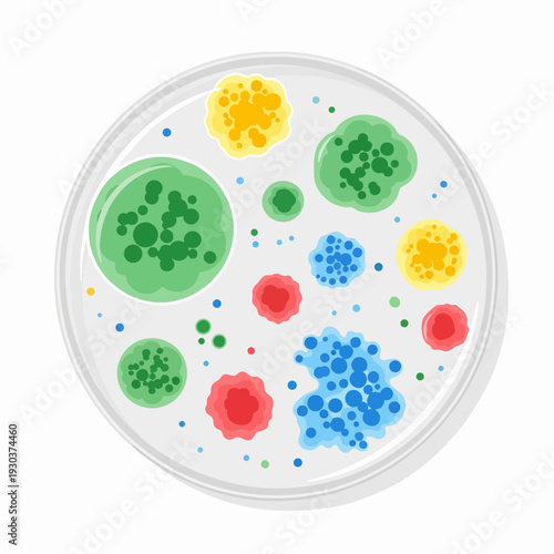 Petri dish filled with colorful bacterial colonies of microorganisms viewed from above vector illustration for medical science