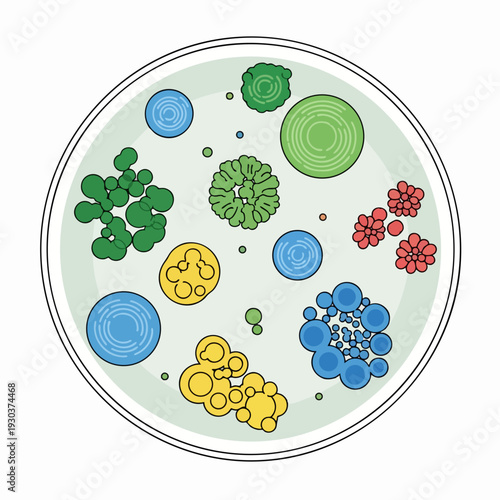Petri dish illustration displaying diverse microbial colonies with vibrant colors; scientific biology vector art microbiology colorful examination