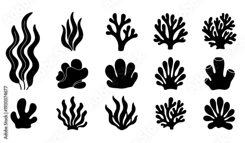 Black Seaweed and Coral Silhouette Vector Set Minimal Marine Botanical Icons Isolated on White