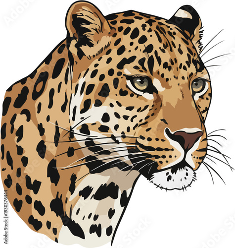 Head of a spotted leopard with piercing eyes