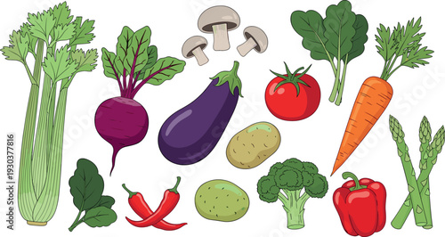 Colorful Hand Drawn Vegetable Illustration Set with Fresh Organic Farm Produce Icons for Healthy Cooking, Vegan Nutrition, and Food Design