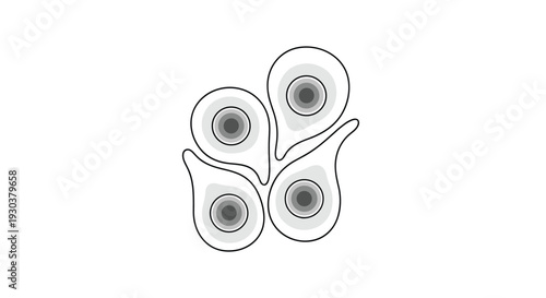 Four abstract grey shapes resembling stylized peacock feathers or teardrops with concentric rings on a plain white background.