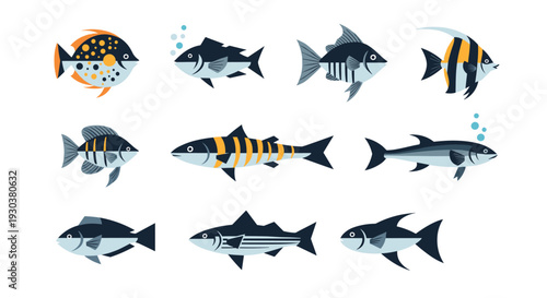 Large set of various colorful fish species including ocean and freshwater varieties in a clean and minimal graphic style.