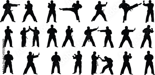 Collection of martial arts poses and movements in black silhouettes