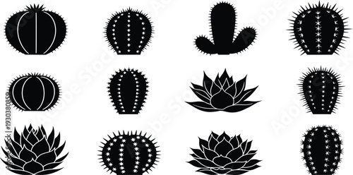 Collection of various cactus and succulent silhouette illustrations