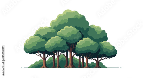 Dense group of lush green leafy trees with thick brown trunks growing together in forest on white background for nature concept.