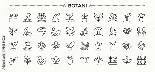 Botany icon set. Contains related to ecology, biology, eco, geo, garden, environment, plant and more. Minimalist linear icons. Signs for web and mobile app. Environment icon set.
