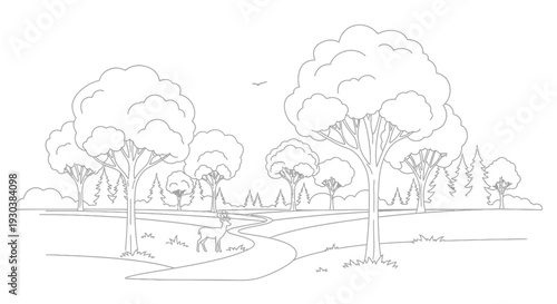 Minimalist Line Art Illustration of a Serene Nature Park Landscape with a Deer, Winding Path, and Lush Trees, Outline Vector