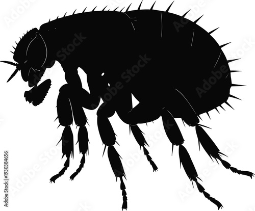 Black Silhouette Vector of a Flea Insect Isolated on White Background for Pest Control Services Veterinary Medicine Science Education and Parasite Prevention Design