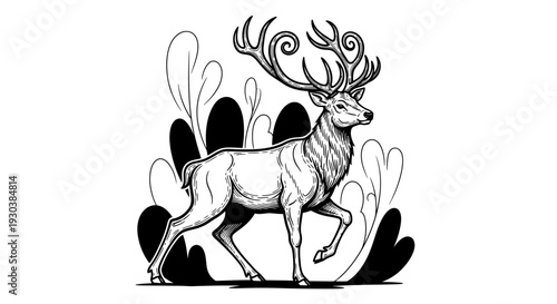 Elegant Stag with Ornate Antlers Vector Illustration. Hand-Drawn Black and White Ink Art of a Majestic Wild Forest Animal