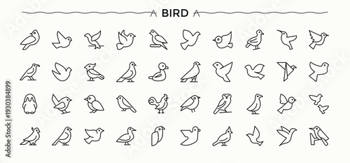 Bird linear icon collection. Minimal icons set. Vector illustration in modern line style. Wildlife icon set. Containing nature, wildlife, fly and more.