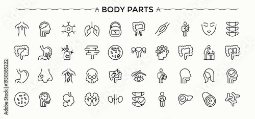 Human Body icon set. Man icon collection. Thin UI icons. Pack of human, man, body and more. Vector illustration.