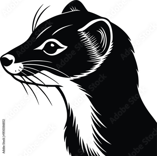 Vector ferret head illustration, black and white